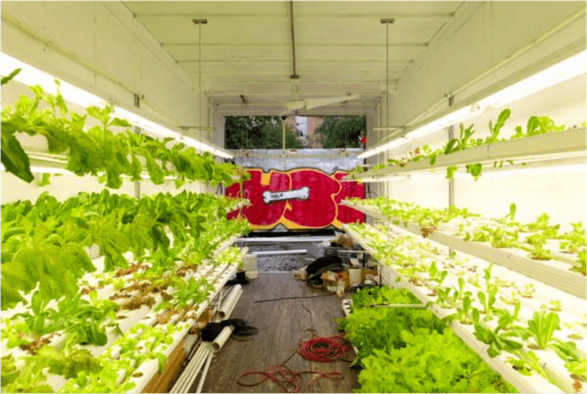 Urban agriculture and shipping containers